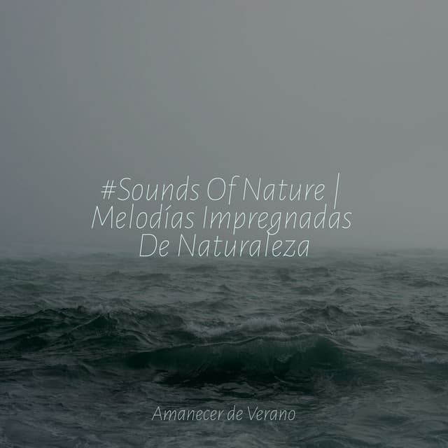 #Sounds Of Nature | Melodías Impregnadas De Naturaleza - Ambiente