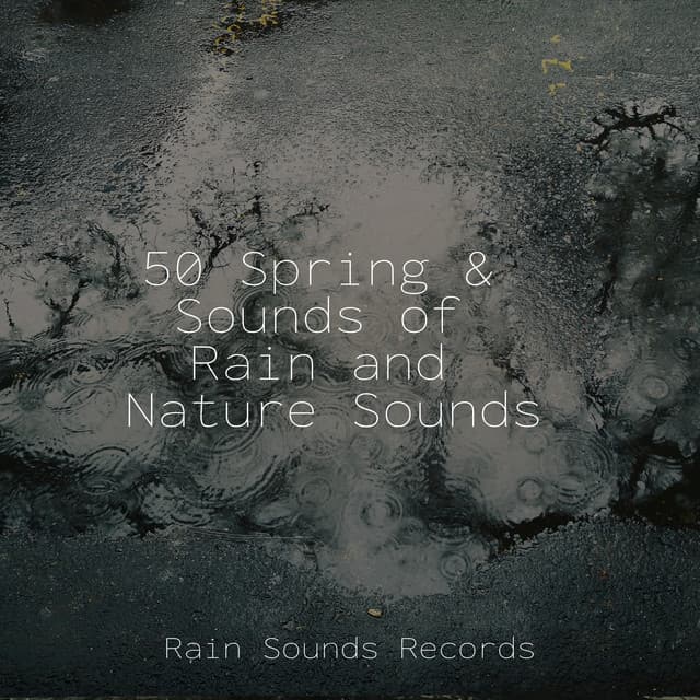 50 Spring & Sounds of Rain and Nature Sounds - Sons da natureza HD