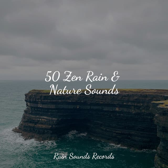 50 Zen Rain & Nature Sounds - Natureza