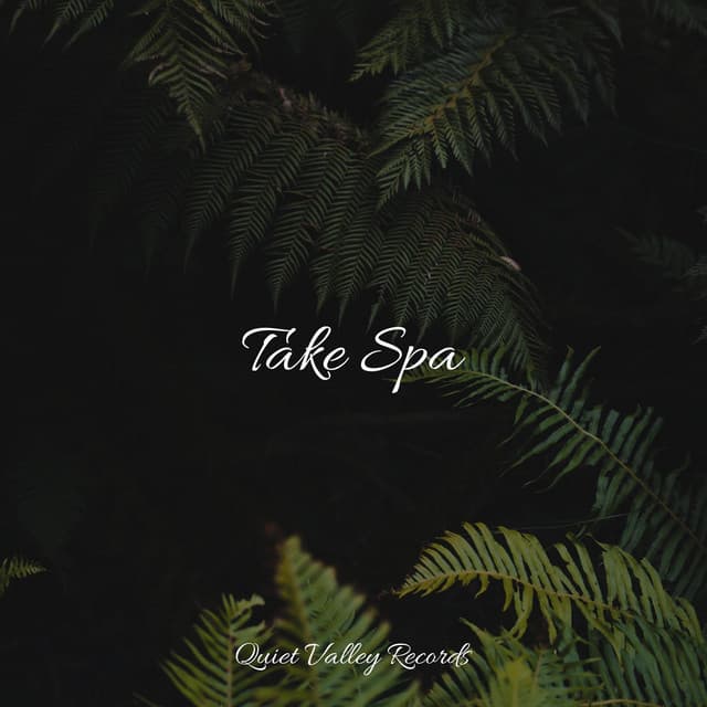 Take Spa - Ocean Sounds