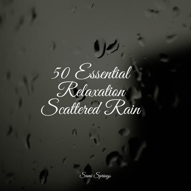 50 Essential Relaxation Scattered Rain - Rain Makers