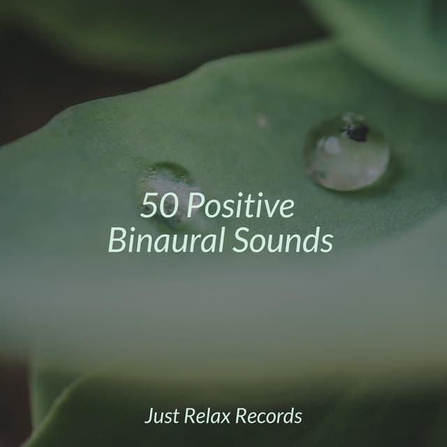 50 Positive Binaural Sounds - Dog Music