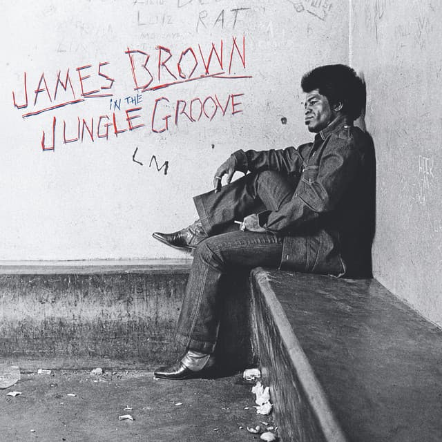 In The Jungle Groove - James Brown