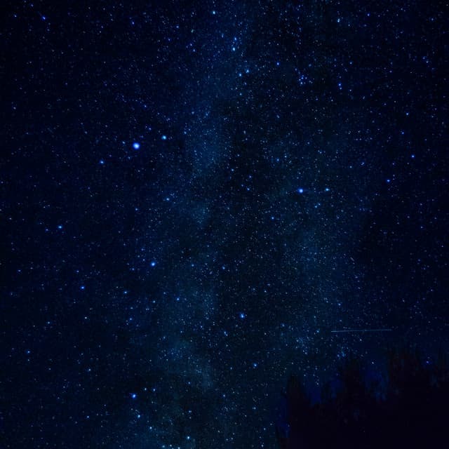 10 AM Woodlands: Ethereal Slumber - Baltic Nature Sounds