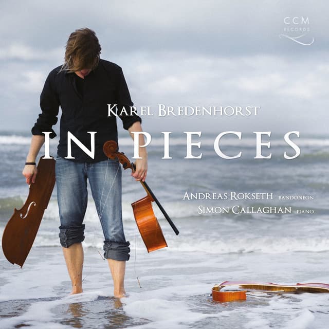 In Pieces - Karel Bredenhorst