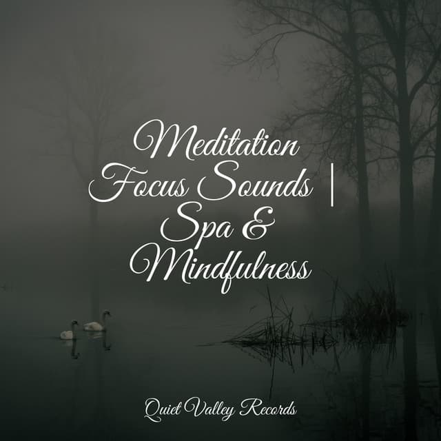 Meditation Focus Sounds | Spa & Mindfulness - Pure Serenity Spa Music & Massage Collective Garden & Zen Relaxation Meditation