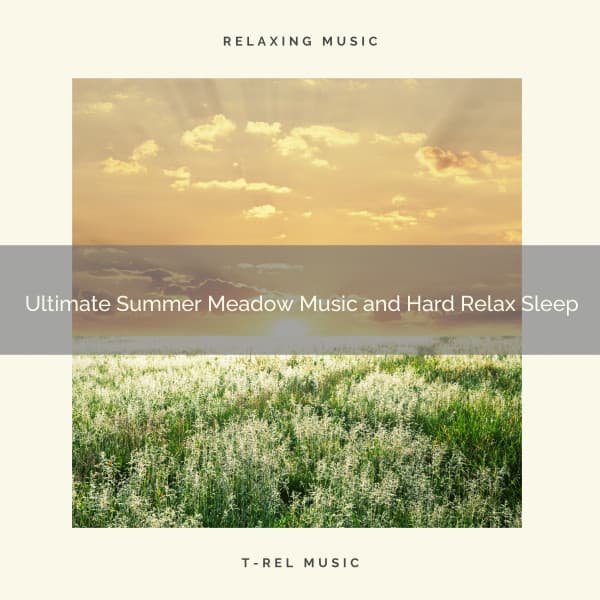 2020 Best: Ultimate Summer Meadow Music and Hard Relax Sleep - Night Sounds