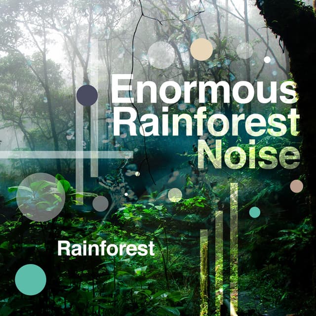 Enormous Rainforest Noise - Rainforest