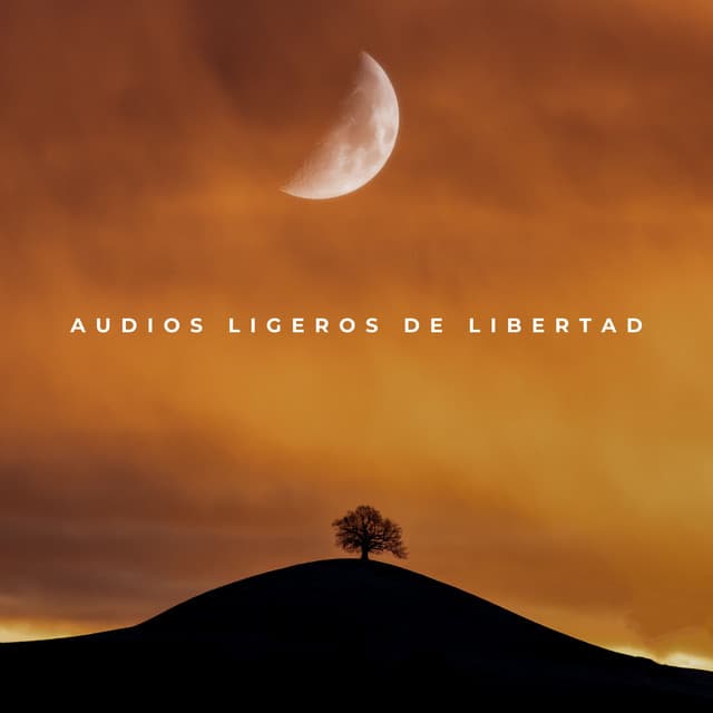 Audios Ligeros De Libertad - Ecos Débiles