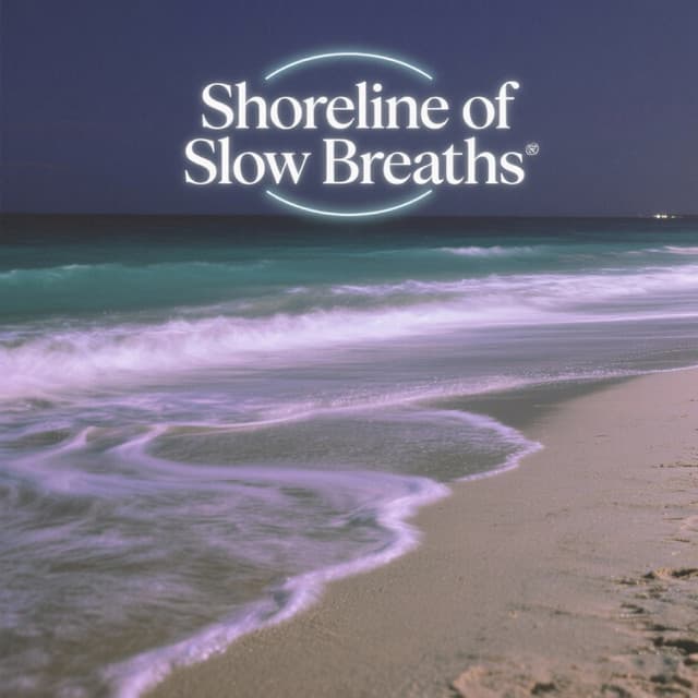 Shoreline of Slow Breaths - Rising Higher Meditation