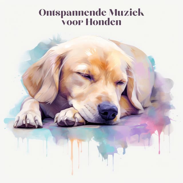 Ontspannende Muziek voor Honden - Muziek voor Honden