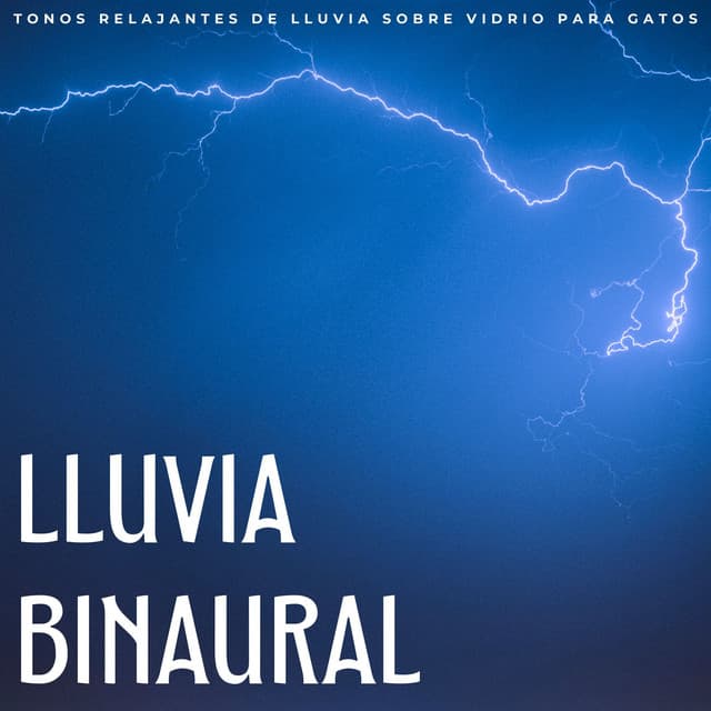Lluvia Binaural: Tonos Relajantes De Lluvia Sobre Vidrio Para Gatos - Escuela de Lluvia