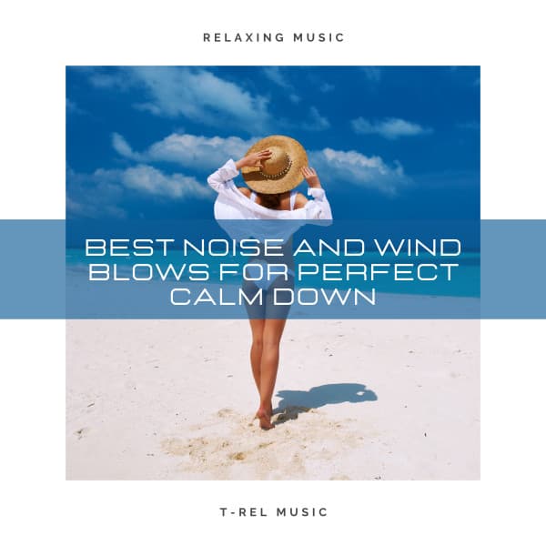 Best Noise and Wind Blows For Perfect Calm Down - Seashore Waves