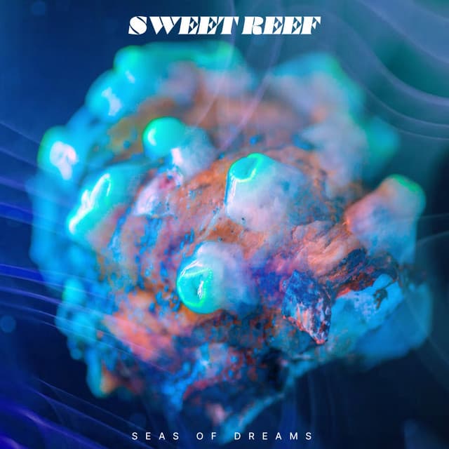 Sweet Reef - Seas of Dreams