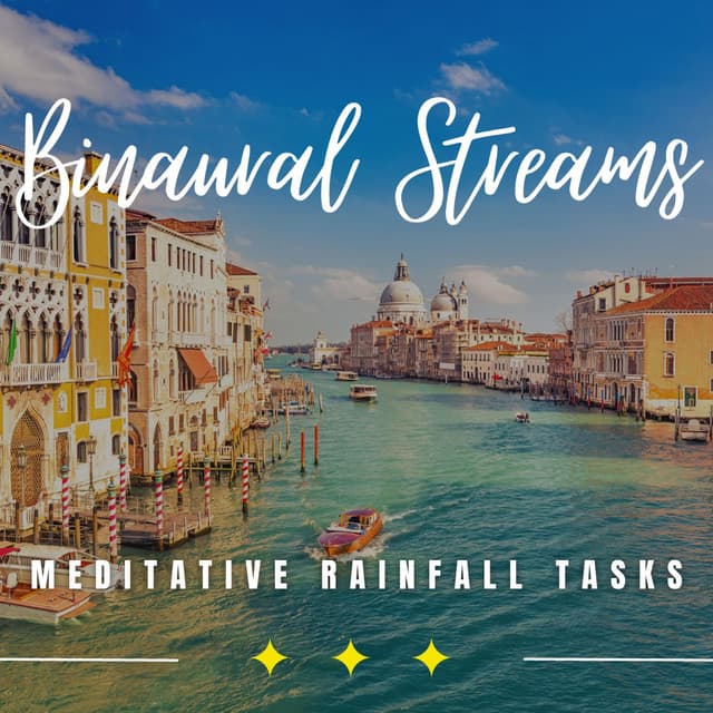 Meditative Raindrop Work: Binaural Focus Harmony - Meditation Playlist