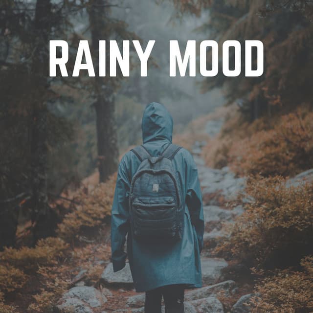 Rainy Mood - Rainfall Place