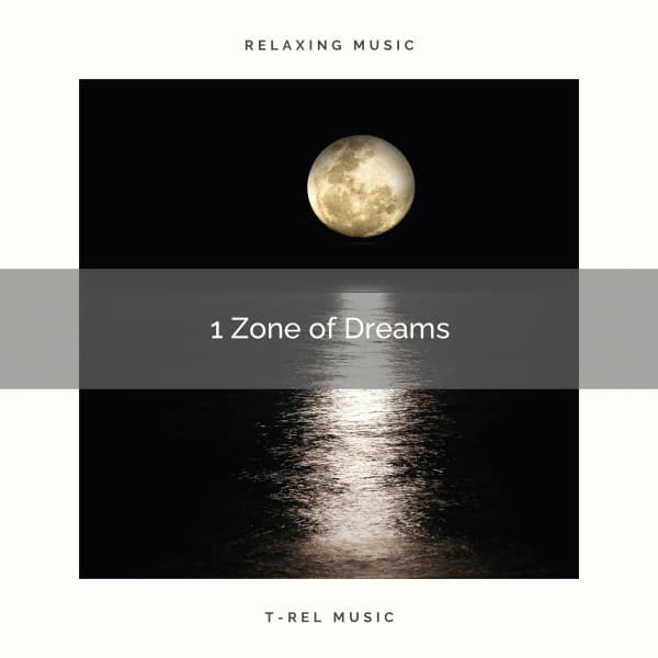 1 Zone of Dreams - Sleep Repeat