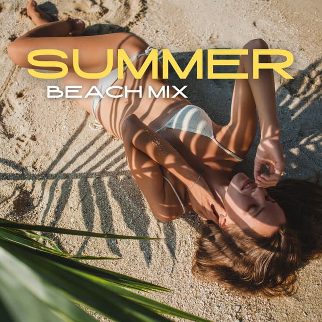 Summer Beach Mix: Tracks that are Perfect for a Day at the Beach, Light and Breezy Vibe - DJ Chillax