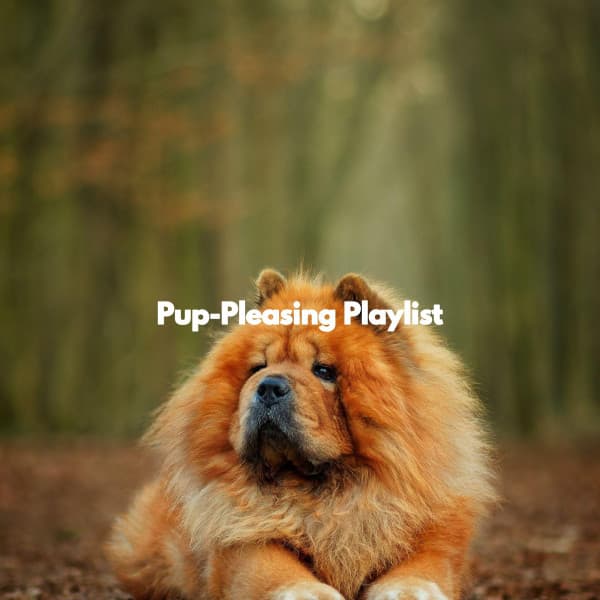 Pup-Pleasing Playlist - Romantico Cafe Jazz