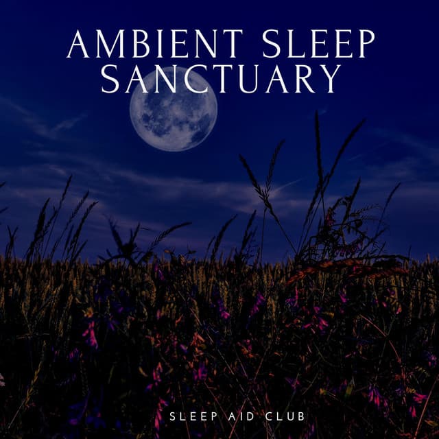Ambient Sleep Sanctuary: Soothing Chill Tunes - Sleep Aid Club