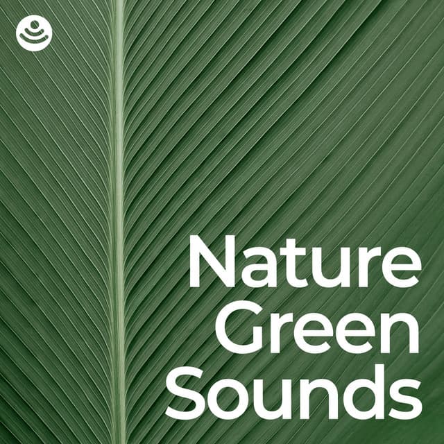 Nature Green Sounds: Sleep and Relaxation - Nature Sounds for Sleep and Relaxation