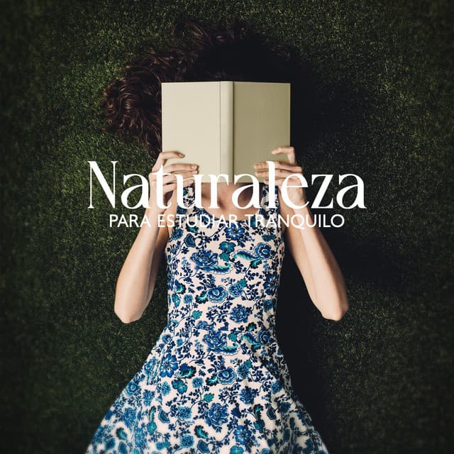 Naturaleza para Estudiar Tranquilo - Academia de Música para Estudiar Fácilmente