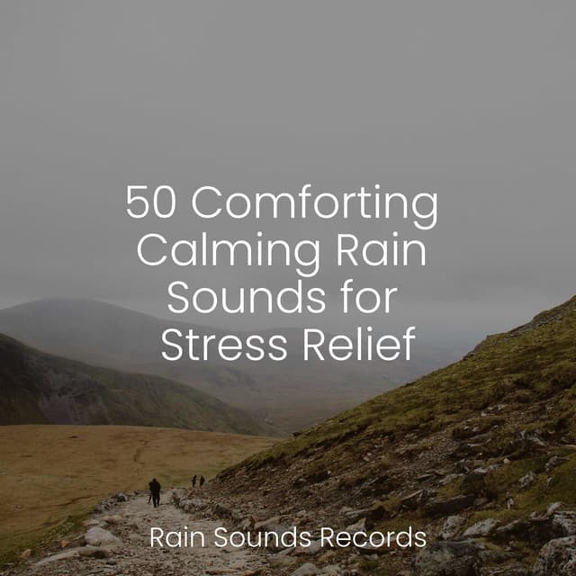 50 Comforting Calming Rain Sounds for Stress Relief - Relaxing Rain Sounds