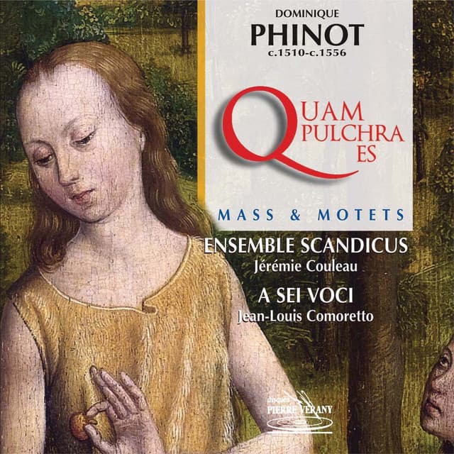 Dominique Phinot : Messe quam pulchra es & Motets - Dominique Phinot