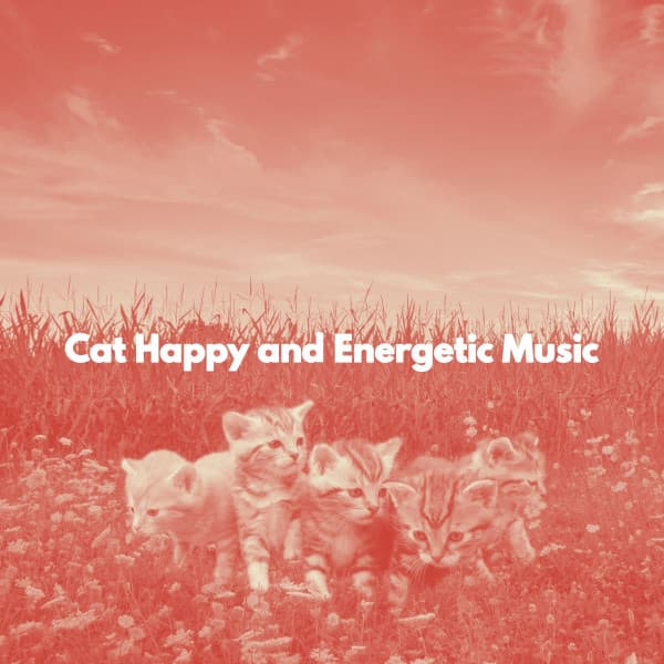 Cat Happy and Energetic Music - Súper Música de Elevador