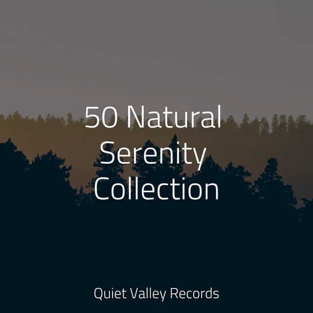 50 Natural Serenity Collection - Ambient Music Therpy