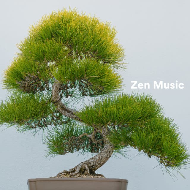 Zen Music - MusicoterapiaTeam