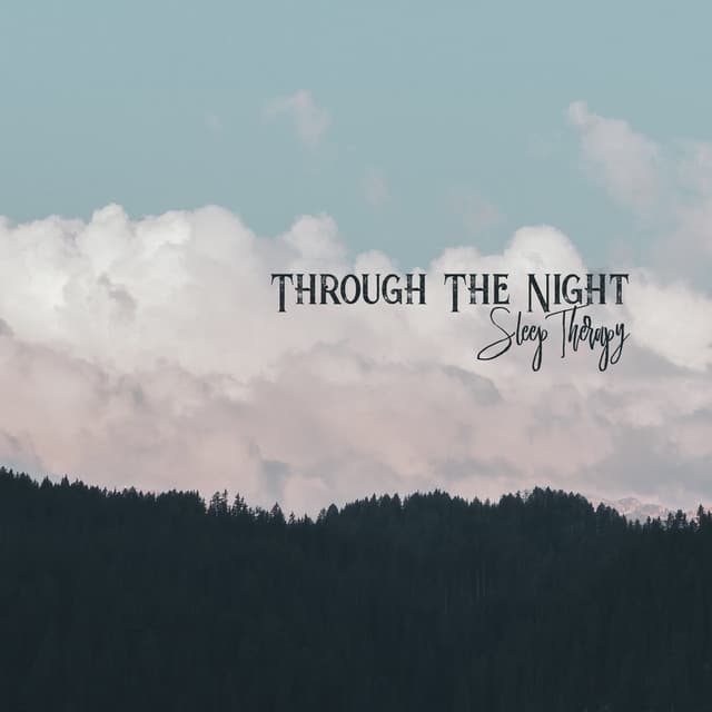 Through The Night - Sleep Therapy: Calming Sounds Of New Age, Time To Bed, Deep Relaxation At Night, Sweet Dreams - Endless New Age Music Creator