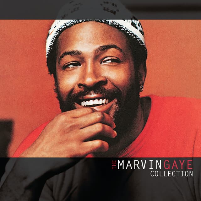 The Marvin Gaye Collection - Marvin Gaye