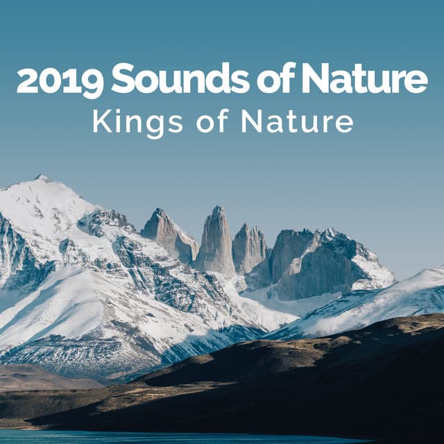 2019 Sounds of Nature - Kings of Nature