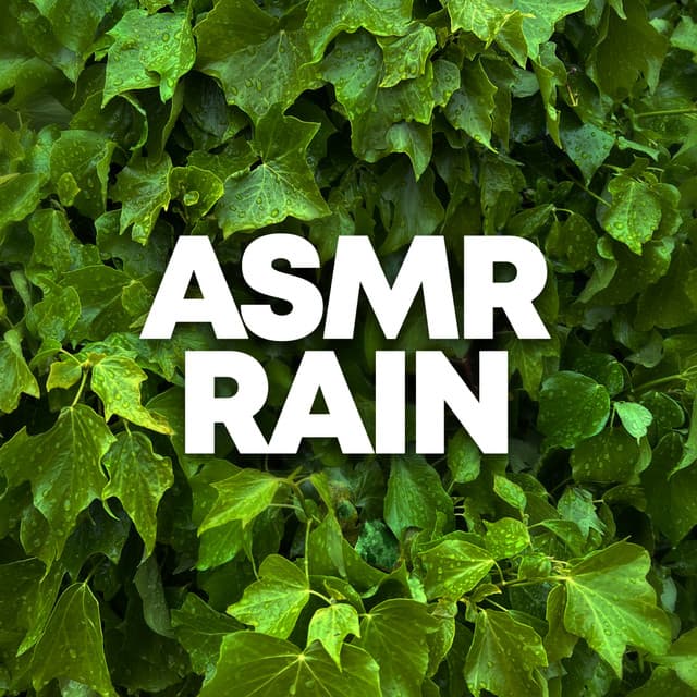 ASMR Rain - Sleep Sounds of Nature