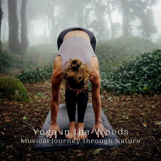 Yoga in the Woods: Musical Journey through Nature - Natural Woodland Sounds