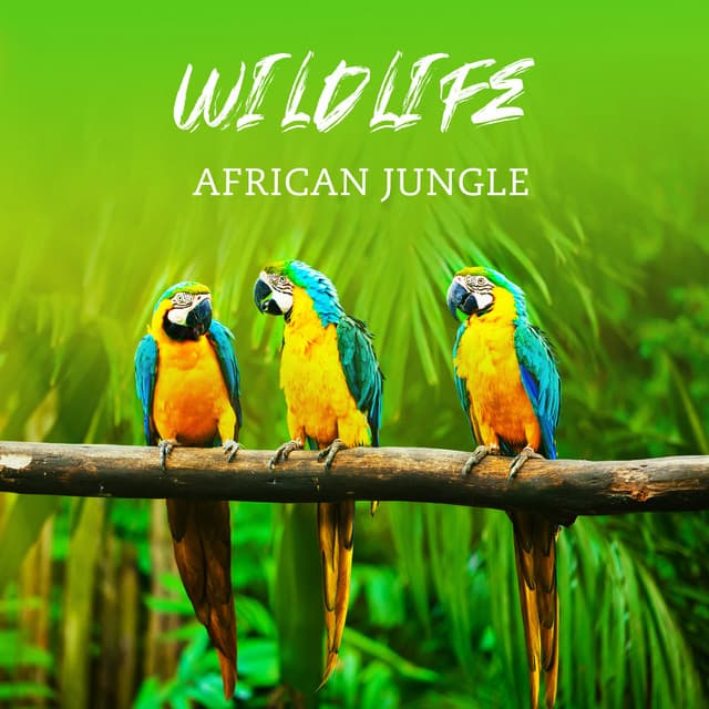 Wildlife: African Jungle, Safari Adventure, Amazon Forest, Flute Meditation - Ambient Jungle Sounds