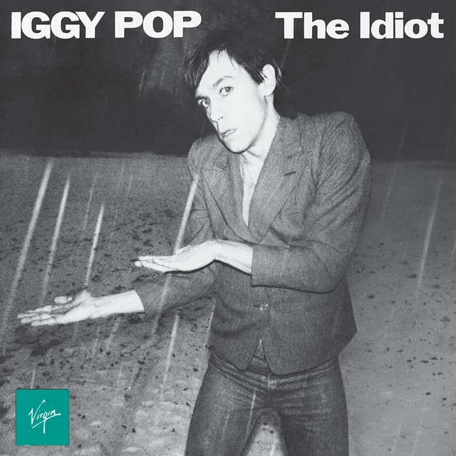The Idiot - Iggy Pop