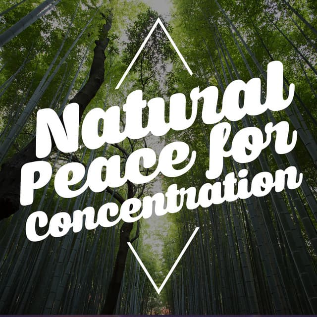 Natural Peace for Concentration - Exam Study Nature Music Nature Sounds