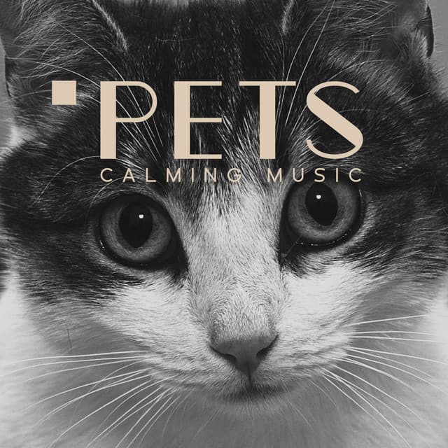 Pets - Calming Dog Music, Soothing Cat Sounds, Nature Sound - Pets Music
