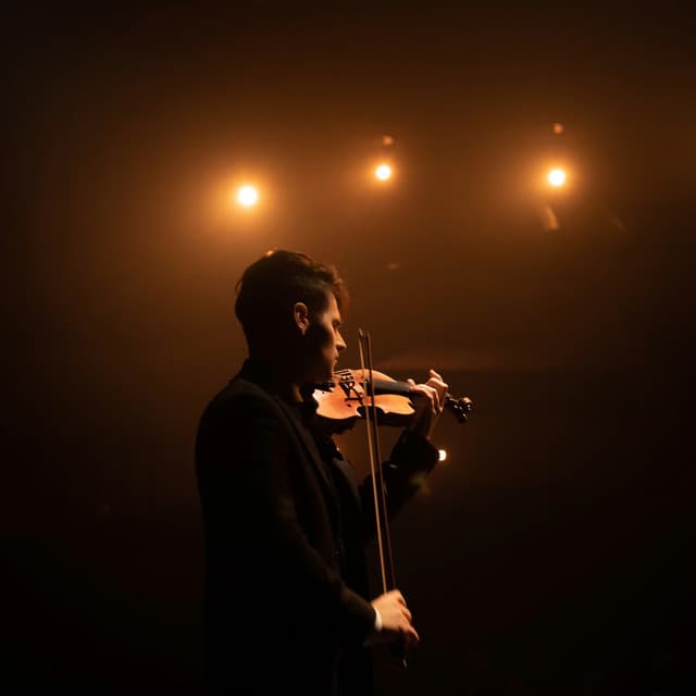 Pets' Soothing Nighttime Orchestra - Valborg Shamsuddin