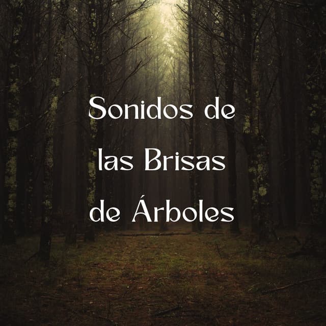 Sonidos De Las Brisas De Árboles - Sonidos Del Bosques