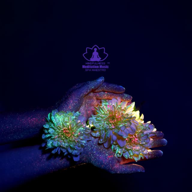 Reiki Sacred Wellness - Mindfulness Meditation Music Spa Maestro