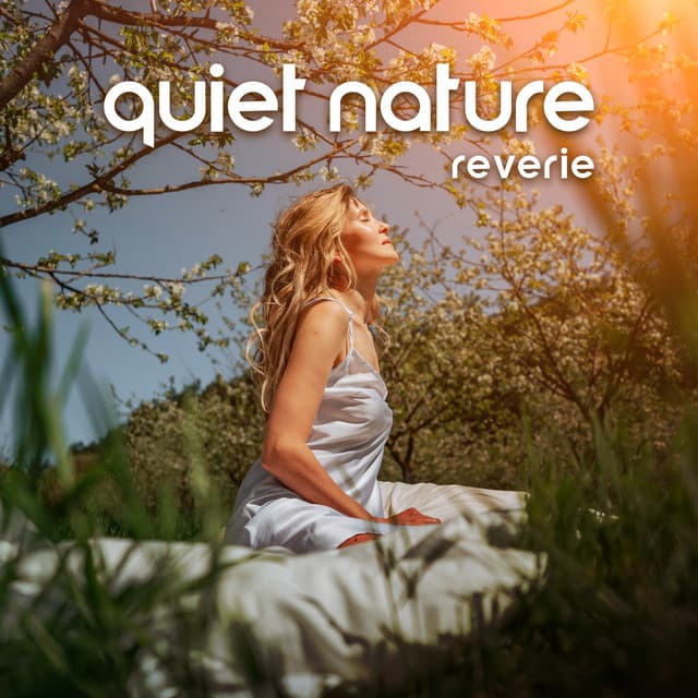 Quiet Nature Reverie: Gently Trickling Water & Soothing Birdsong - Forest Hills Music Universe