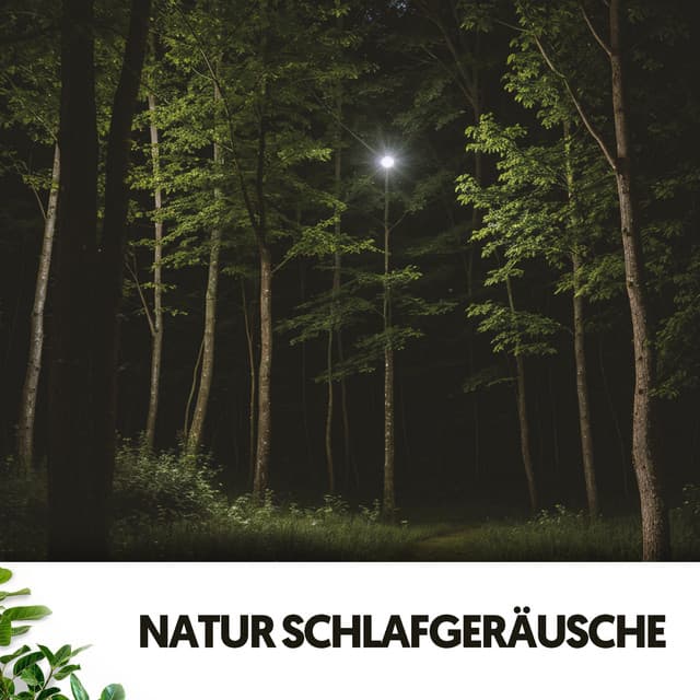 Natur Schlafgeräusche: Bezaubernde Schlaflieder von Mutter Erde - Relajacion