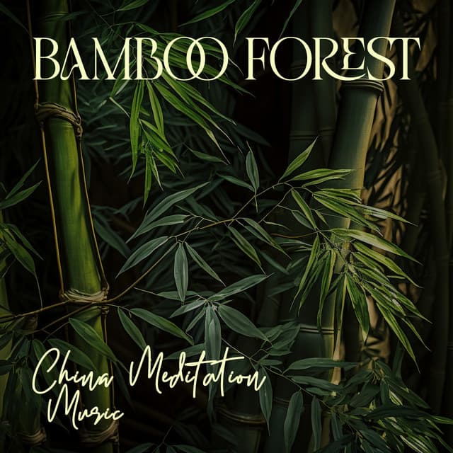 Bamboo Forest - Tao Te Ching Music Zone