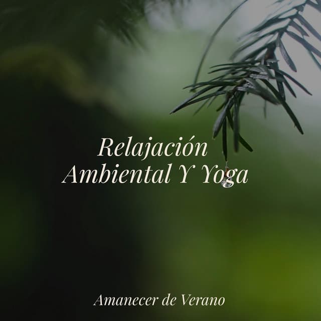 Relajación Ambiental Y Yoga - Guided Meditation