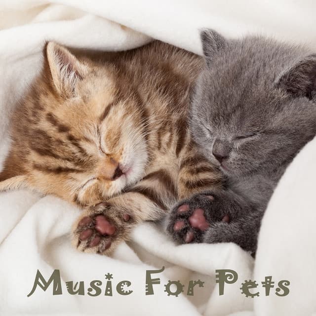 Music For Companion Animals: Warm up Vol. 1 - Music For Pets