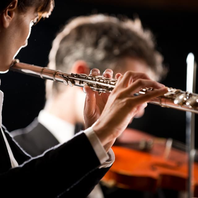 Peaceful Orchestra for Mindful Meditation - Charles Anderson