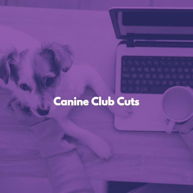 Canine Club Cuts - Frühstück Jazz Playlist